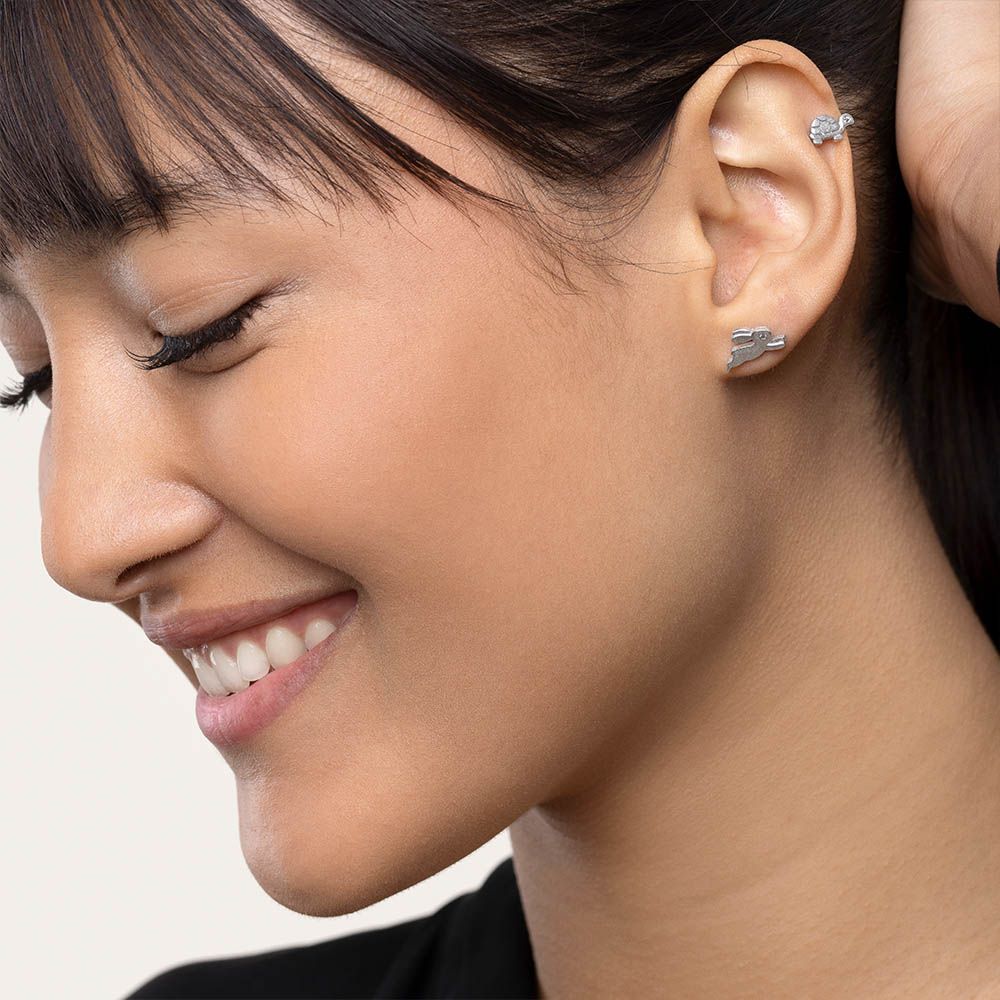 Orecchini coniglio / tartaruga